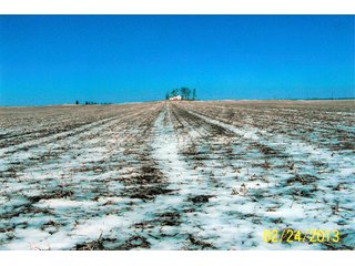 Property photo 1 - 100 +/- Acres - Productive Tillable Farmland, Elijah Trust